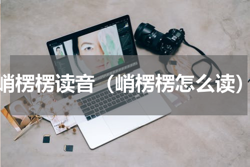 峭楞楞读音（峭楞楞怎么读）