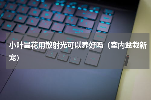 小叶昙花用散射光可以养好吗（室内盆栽新宠）