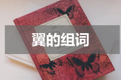 翼的组词