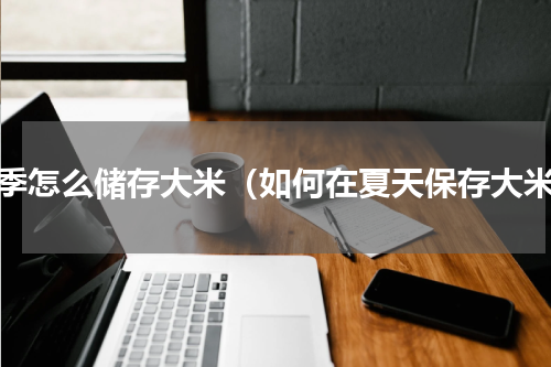夏季怎么储存大米（如何在夏天保存大米）