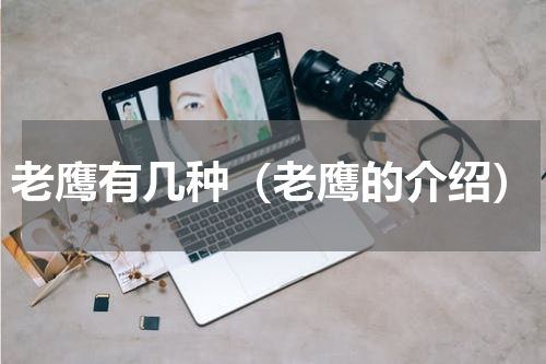 老鹰有几种（老鹰的介绍）
