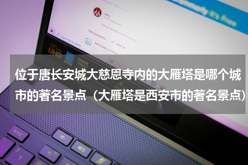 位于唐长安城大慈恩寺内的大雁塔是哪个城市的著名景点（大雁塔是西安市的著名景点）