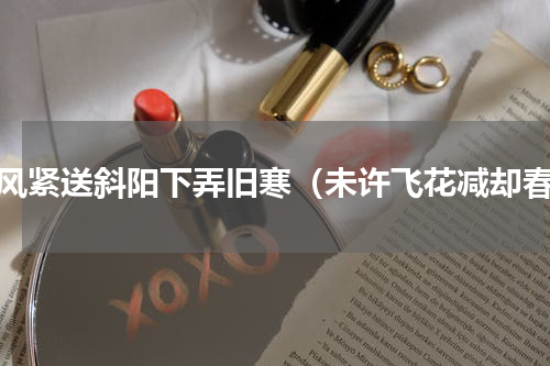 东风紧送斜阳下弄旧寒（未许飞花减却春）