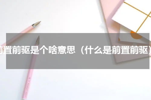 前置前驱是个啥意思（什么是前置前驱）