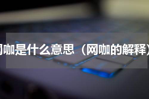 网咖是什么意思（网咖的解释）
