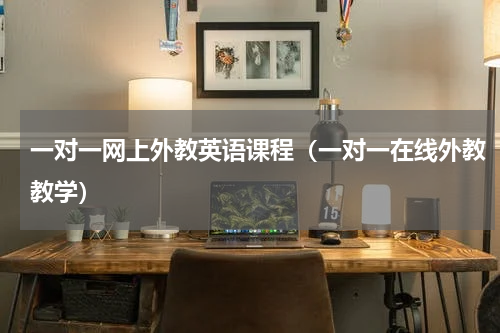 一对一网上外教英语课程（一对一在线外教教学）