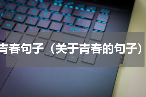青春句子（关于青春的句子）