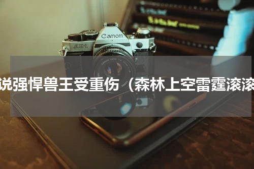 小说强悍兽王受重伤（森林上空雷霆滚滚）
