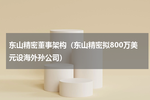 东山精密董事架构（东山精密拟800万美元设海外孙公司）