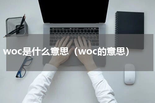 woc是什么意思（woc的意思）