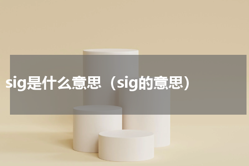 sig是什么意思（sig的意思）