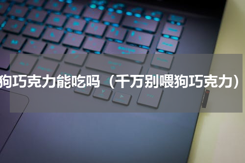 狗巧克力能吃吗（千万别喂狗巧克力）