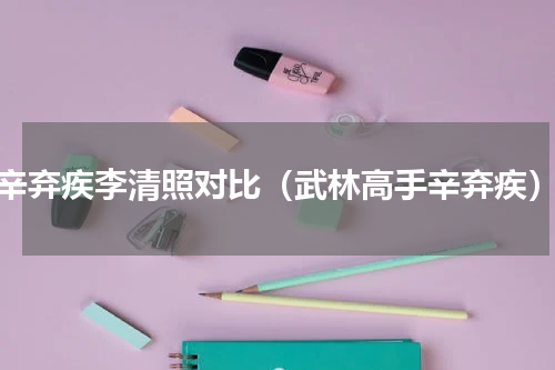 辛弃疾李清照对比（武林高手辛弃疾）