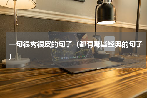 一句很秀很皮的句子（都有哪些经典的句子）