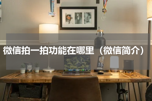 微信拍一拍功能在哪里（微信简介）