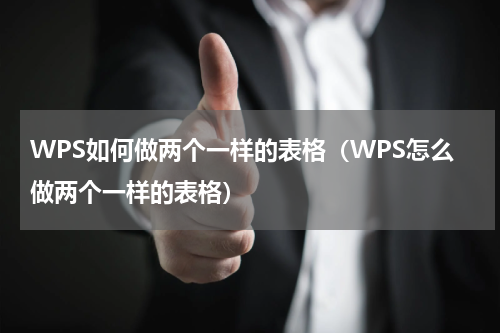 WPS如何做两个一样的表格（WPS怎么做两个一样的表格）