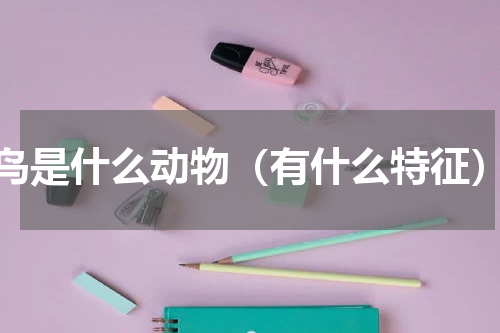鸟是什么动物（有什么特征）