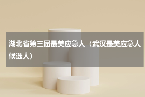 湖北省第三届最美应急人（武汉最美应急人候选人）