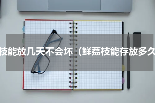 荔枝能放几天不会坏（鲜荔枝能存放多久）