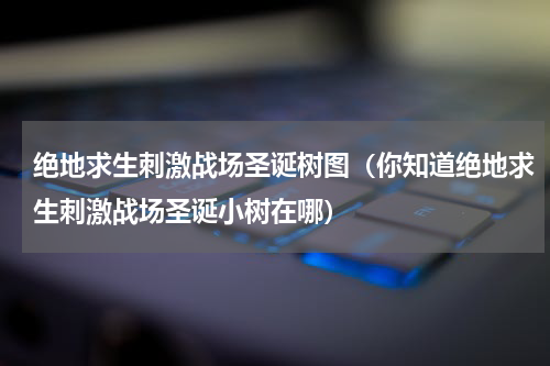 绝地求生刺激战场圣诞树图（你知道绝地求生刺激战场圣诞小树在哪）
