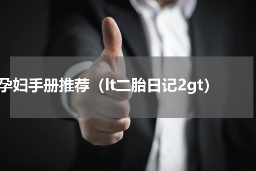 孕妇手册推荐（lt二胎日记2gt）