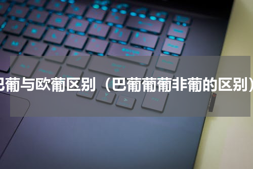 巴葡与欧葡区别（巴葡葡葡非葡的区别）