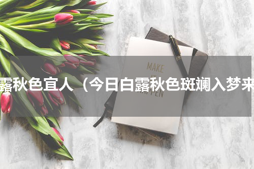 白露秋色宜人（今日白露秋色斑斓入梦来）