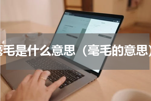 毫毛是什么意思（毫毛的意思）