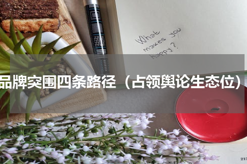 品牌突围四条路径（占领舆论生态位）
