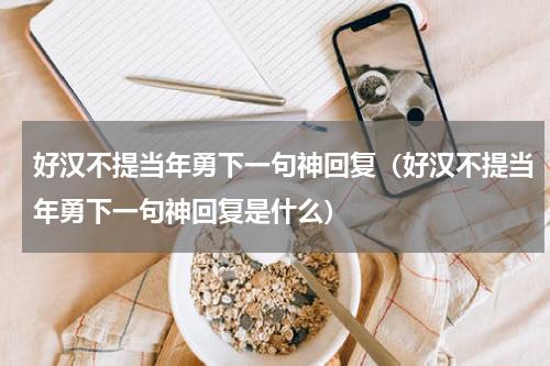 好汉不提当年勇下一句神回复（好汉不提当年勇下一句神回复是什么）