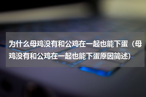 为什么母鸡没有和公鸡在一起也能下蛋（母鸡没有和公鸡在一起也能下蛋原因简述）