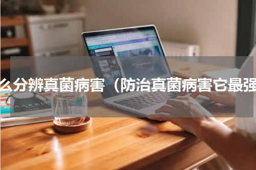 怎么分辨真菌病害（防治真菌病害它最强）