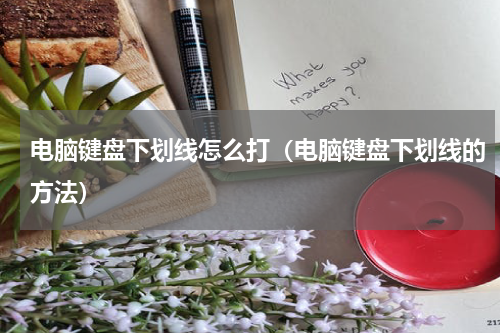 电脑键盘下划线怎么打（电脑键盘下划线的方法）