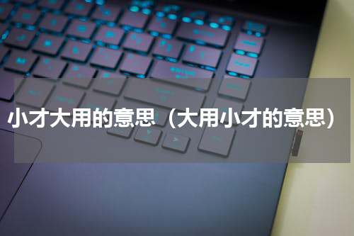 小才大用的意思（大用小才的意思）