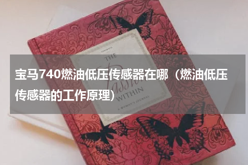 宝马740燃油低压传感器在哪（燃油低压传感器的工作原理）