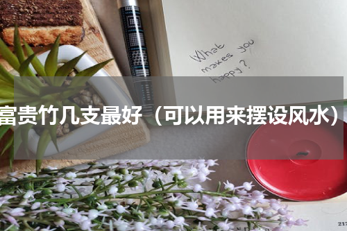 富贵竹几支最好（可以用来摆设风水）