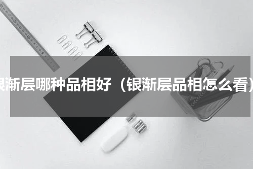 银渐层哪种品相好（银渐层品相怎么看）