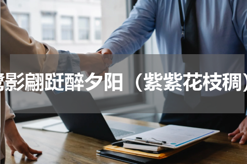 鹭影翩跹醉夕阳（紫紫花枝稠）