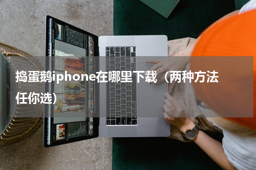 捣蛋鹅iphone在哪里下载（两种方法任你选）