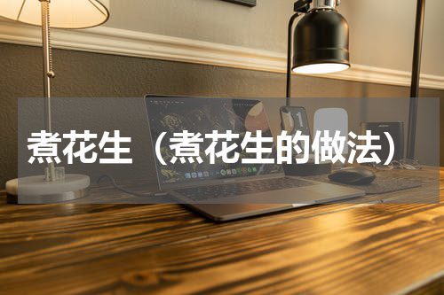 煮花生（煮花生的做法）