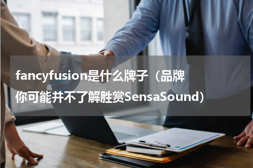fancyfusion是什么牌子（品牌你可能并不了解胜赏SensaSound）
