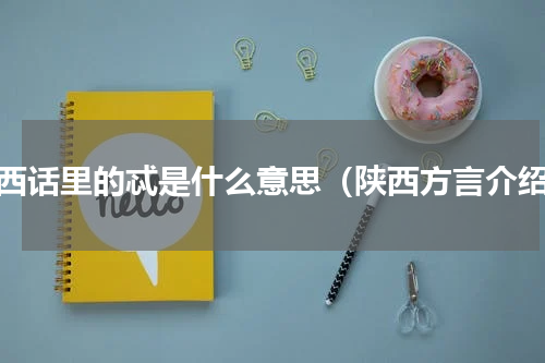 陕西话里的忒是什么意思（陕西方言介绍）
