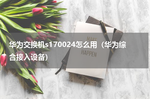 华为交换机s170024怎么用（华为综合接入设备）