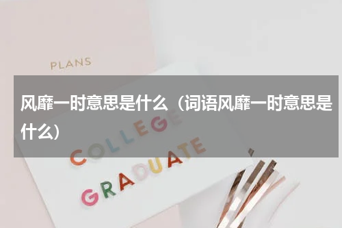 风靡一时意思是什么（词语风靡一时意思是什么）
