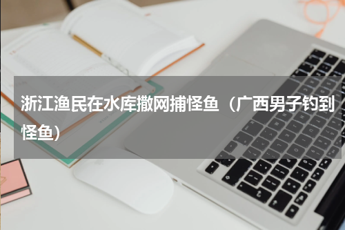 浙江渔民在水库撒网捕怪鱼（广西男子钓到怪鱼）