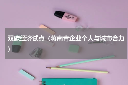 双碳经济试点（蒋南青企业个人与城市合力）