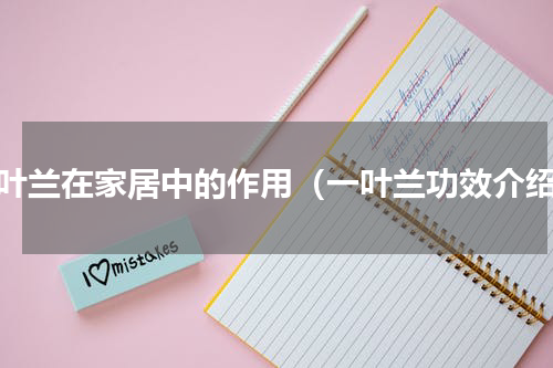 一叶兰在家居中的作用（一叶兰功效介绍）