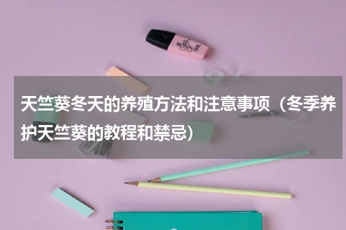 天竺葵冬天的养殖方法和注意事项（冬季养护天竺葵的教程和禁忌）