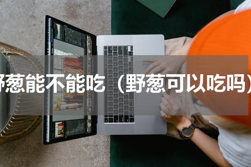 野葱能不能吃（野葱可以吃吗）