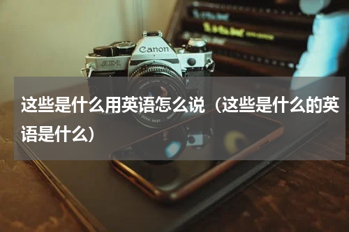 这些是什么用英语怎么说（这些是什么的英语是什么）